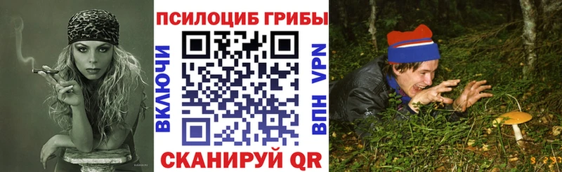 Псилоцибиновые грибы Psilocybe  Красноармейск 